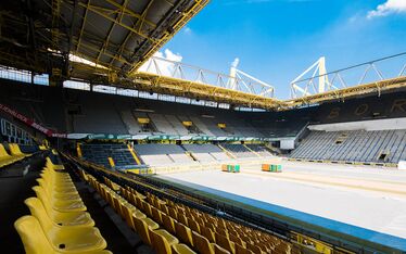 Hybridrasen Borussia Dortmund